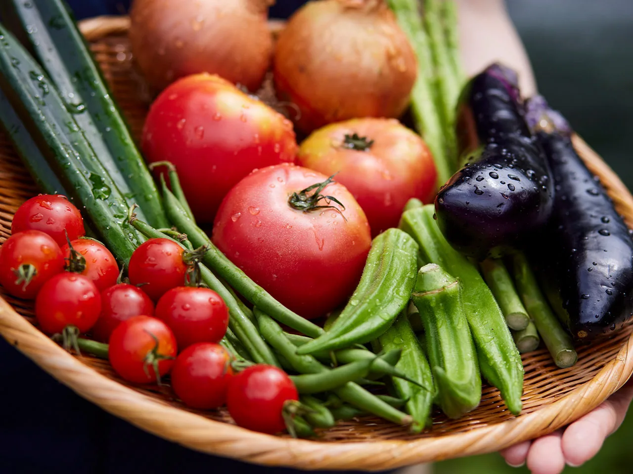 a basket full of fresh vegetables like tomatoes, okra and eggplant