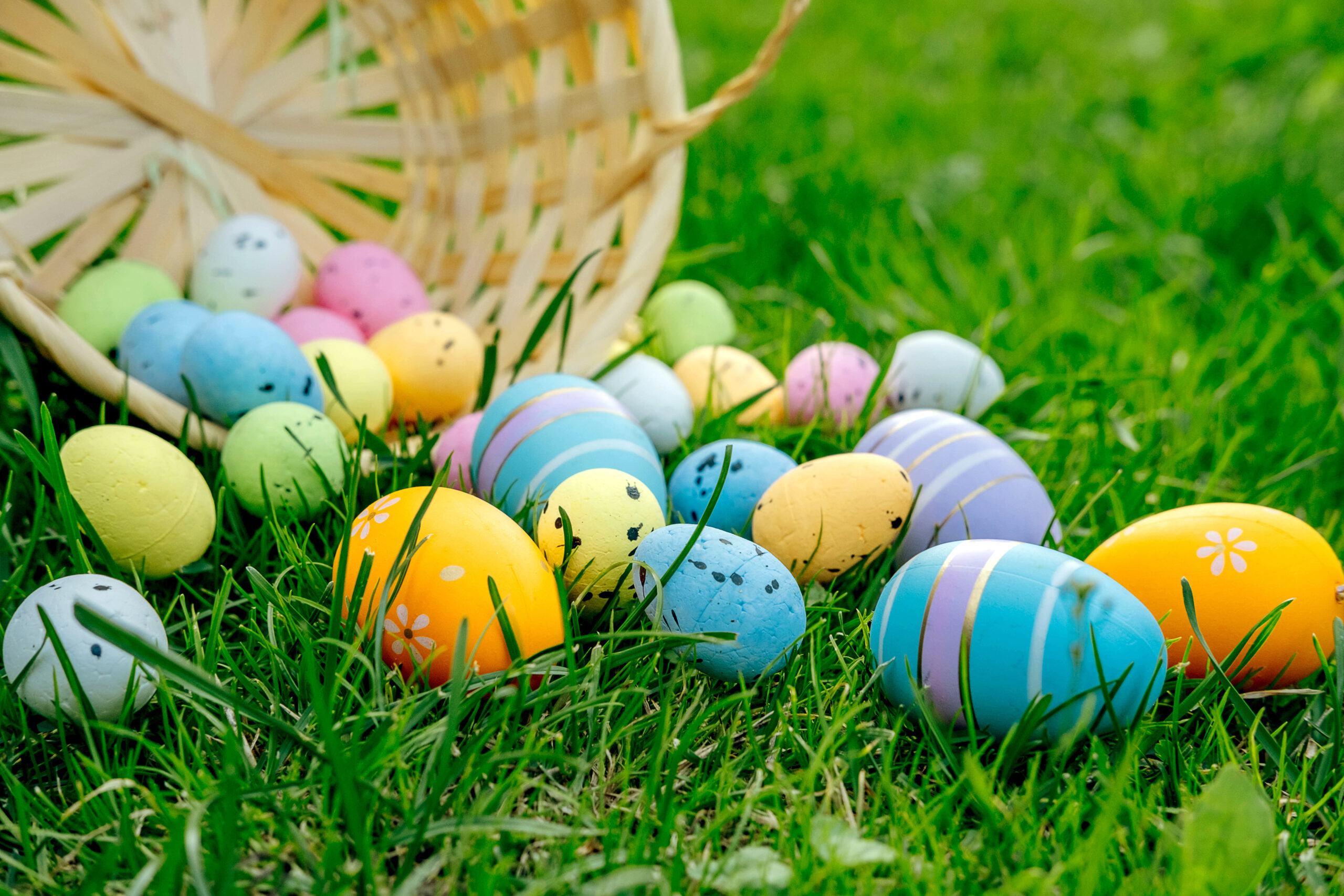 Happy Easter. Basket with Easter eggs in grass on a sunny spring day - Easter decoration, banner, panorama, background