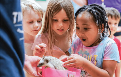 A group of children are enthralled during an encounter with a hedgehog.