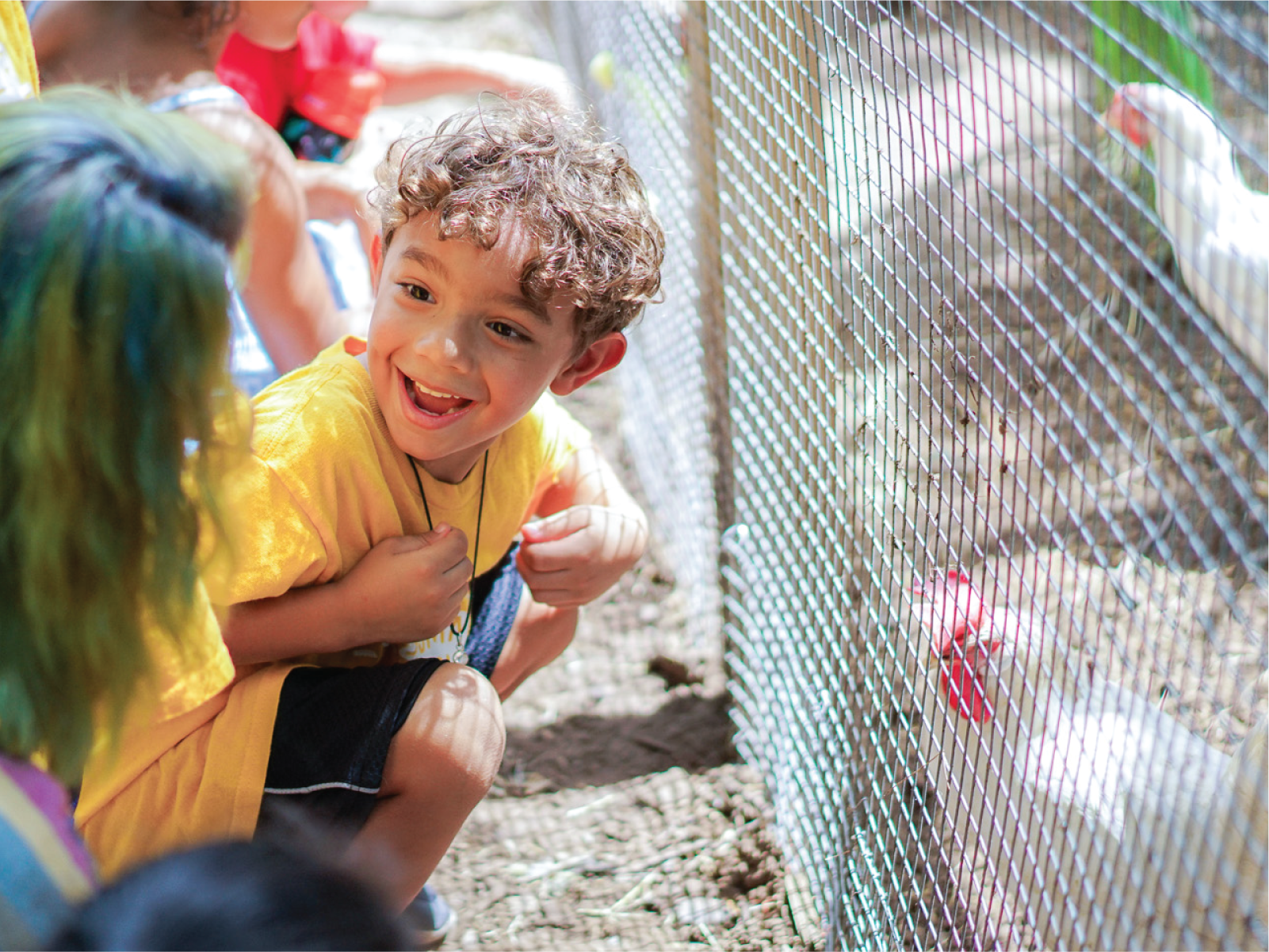 An excited boy smiles during an encounter with chickens.